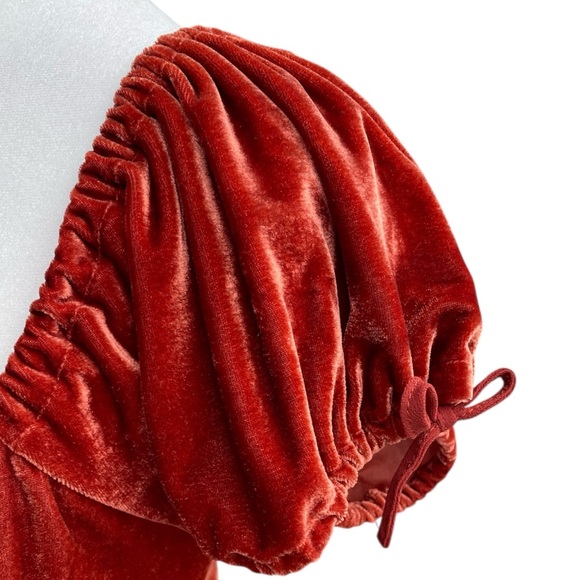 Urban Outfitters Rust Velvet Dress. Small. NWT - Picture 5 of 10